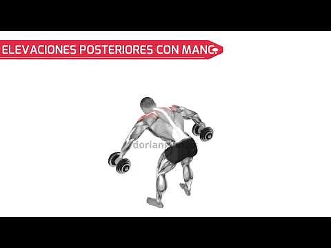 Cómo Hacer ELEVACIONES POSTERIORES CON MANCUERNAS - Ejercicios Para Hombros