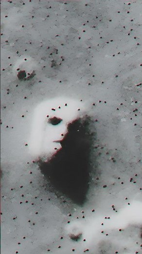 The Famous Cydonia Face on Mars