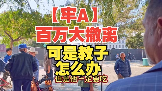 【牢A】牢A上纽约时报后百万大撤离，他是回城了，可是他心心念念得教子怎么办？没了牢A的教导之后，他的人生又会如何？