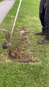 4.7M views · 10K reactions | Well that escalated pretty quickly. #asmr #satisfying | Nathans Lawns and Gardens | Facebook