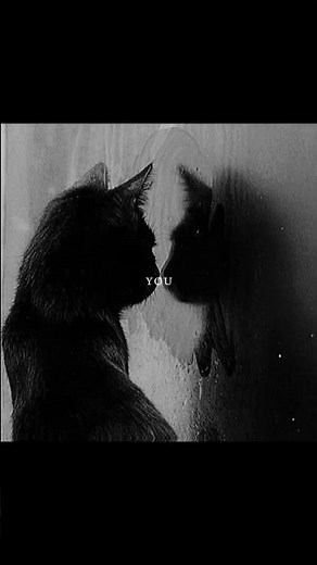 my strange addiction - Billie Eilish | lyrics | aesthetic | lyrics edit #billieeilish