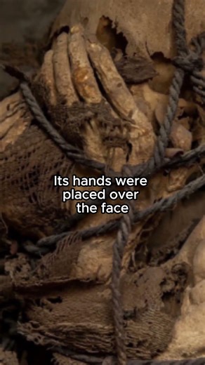 This mummy was never set free #facts #mummy #middleeast #untoldhistory #history #archaeology #life