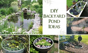 DIY Garden Pond Ideas for Budget-Friendly Outdoor Aesthetic