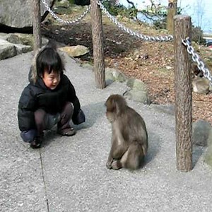 1.2M views · 870 shares | Great friendship between the baby and the adorable little monkey❤ #MOnkey | Daily Monkey | Facebook