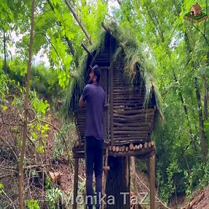 198K views · 2.8K reactions | Building a Tree Hut - shelter on a tree stump #camping #OutdoorLiving #jungle #offgrid #skills #cabin #survival #outdoors #bushcraft #camper #AdventureTravel #underground #adventure #treehouse #bushcrafting #cabinlife | Monika TaZ | Facebook