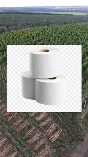 #amazingfacts #deforestation #facts #like and subscribe