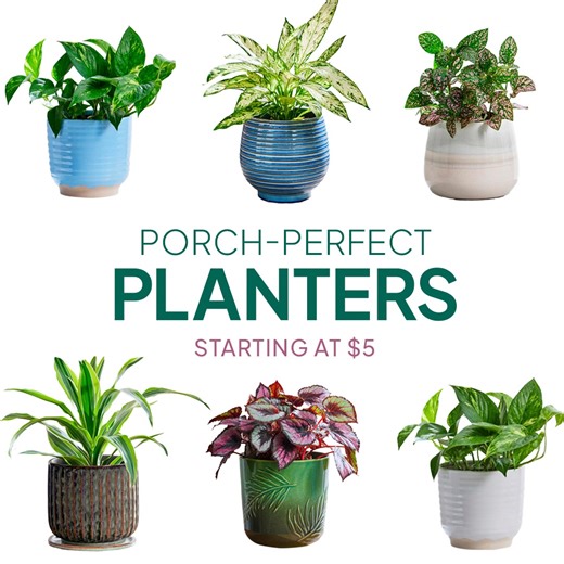 Need inspiration for sprucing up your outdoor space? Shop our collection of planters— only at Walmart! | Better Homes & Gardens | Facebook