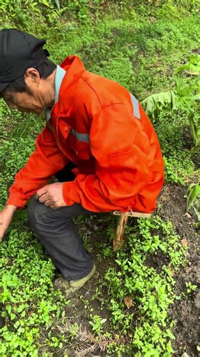 Wooden practical small bench. Handmade.