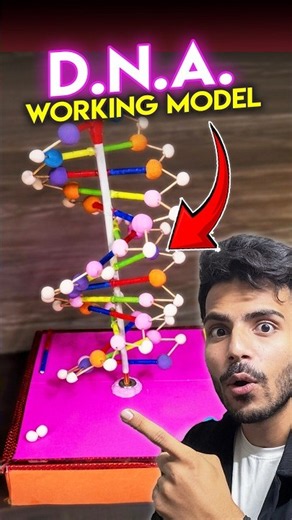 WOW! DNA Working Model | Biology School Project #creative #innovation #diy
