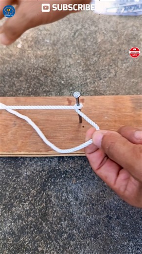 I believe. This is the best knot tied to a nail #knotskills #knot #shorts #foryou #viral #knots