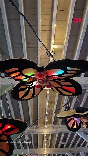 Bay Area’s annual Maker Faire dazzles attendees with wild inventions