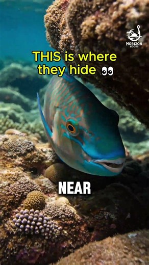 STOP Casting in Open Water — Do This Instead