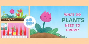 What Do Plants Need to Grow? Science Shorts Animation