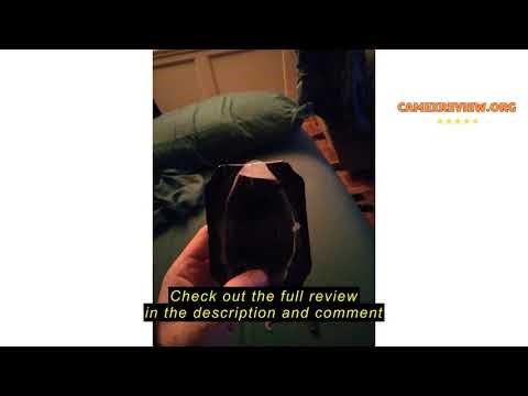 Review Heelys Men's Pro 20 Prints Wheeled Heel Shoe, Black/White/Red 2, 11