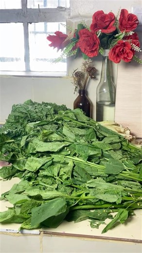 Meal Prep #mealprep #mealprepideas