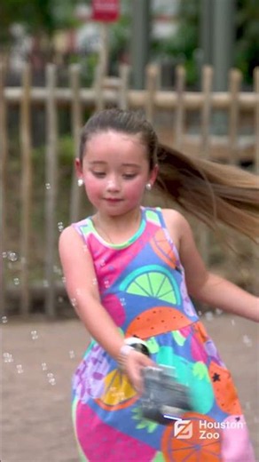 Summer of Fun at Houston Zoo