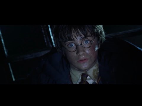 Harry vs the Basilisk (RESCORE) - The Chamber of Secrets