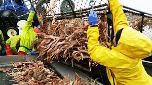 Amazing!! Snow Crab Fishing On The Sea, Big Catch King Crab Trap Under Deep Sea | Survival Action