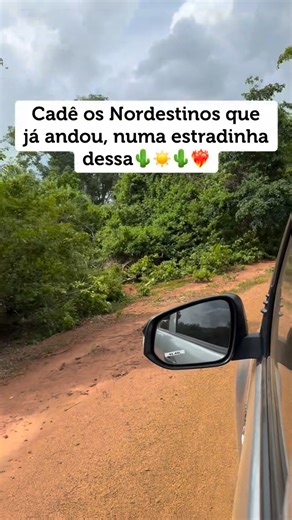 Gezillany Araújo on Instagram: "Kd os nordestinos que já andou numa estradinha dessa??! #nordeste #piauí #regeneracao"