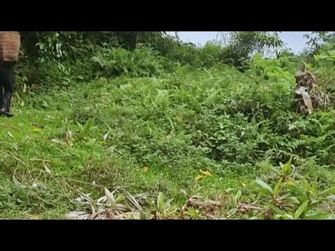 “When Hunger Becomes Too Much: The Moment She Fainted”