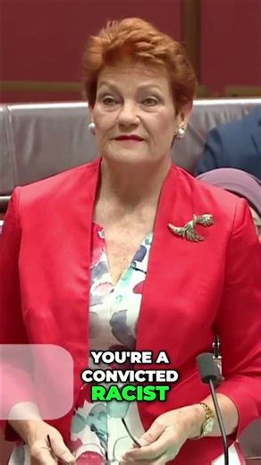 Senator Hanson's Controversial Accusations & Racism Claims #shorts