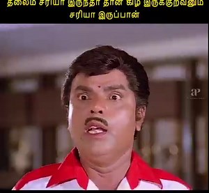 5.9M views · 118K reactions | Raja Chinna Roja Tamil Movie | Rajinikanth | Gautami | Ravichandran | Raghuvaran | Kovai Sarala | S.S.Chandran | V.K.Ramasamy | Chinni Jayanth | AP International | Facebook