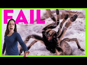 EXPOSURE THERAPY | SYSTEMATIC DESENSITIZATION