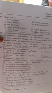 Parasitic plants are (1) Cuscuta, Rafflesia (3) Mango, Rafflesi... | Filo