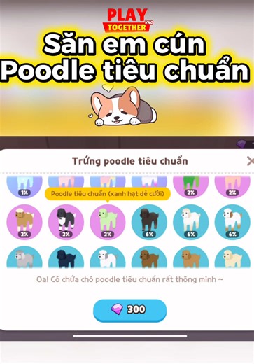 Khám Phá Thú Cưng Trong Play Together