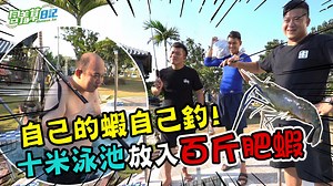 995K views · 227 shares | 第一次在游泳池釣蝦 有經過民宿的允許啦！ 圓一個在自己的家就能抓蝦的夢~~~想害！...