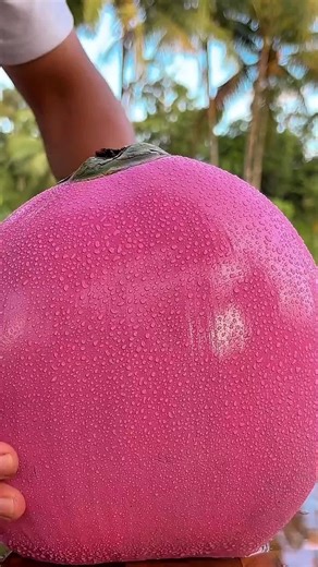 Satisfying Coconut Cutting Sound ASMR Clip