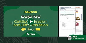 Cell Specialisation and Differentiation Video and Resource Pack