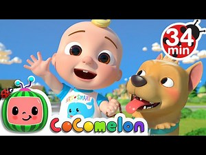 JJ Song   More Nursery Rhymes & Kids Songs - CoCoMelon - Videos For Kids