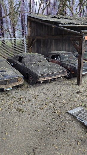 Washing an Abandoned 1978 Dodge Charger After Years Forgotten | Restore DIY