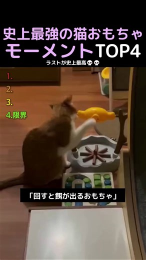史上最強の猫おもちゃモーメントTOP4