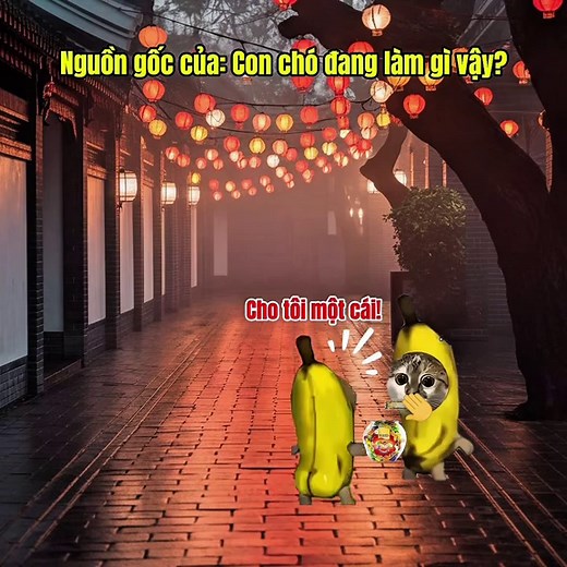 Nguồn gốc của meme 'Con chó đang làm gì vậy?'
