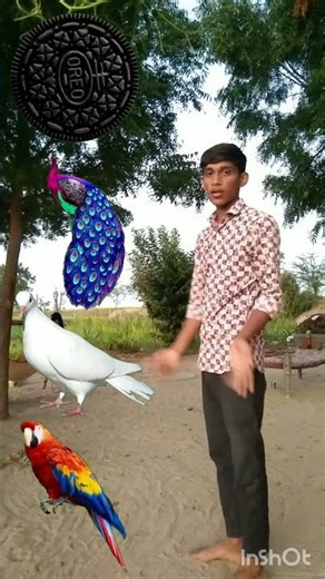 Rounding Oreo Biscuit to Duck, Peacock,Pigeon& Parrot - Birds names magic video