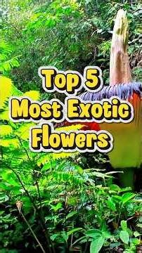 Top 5 Most Exotic Flowers You’ve Never Seen 😳🌸 #shorts