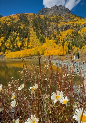 Exploring Colorful Colorado's Stunning Fall Colors