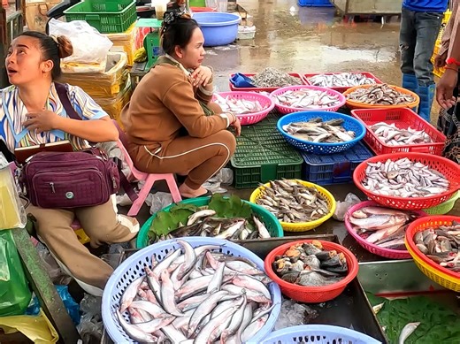 Cambodian Fish Market. Daily Food, Largest Fish Distribution Area in Phnom Penh. #cambodia #fish #market #food #streetfood | Ros Rorn - រស់ រ៉ន