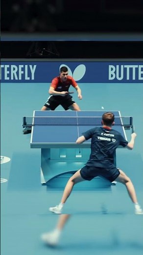 the French table tennis team at the world championships