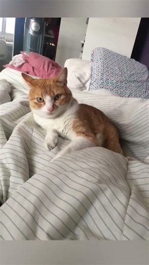 14 de fevereiro de 2026