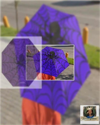 Black Spider Umbrella