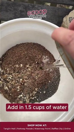 Sweet Salty Crunchy Seed Crackers with Dark Chocolate | Easy Oven Snack Singapore