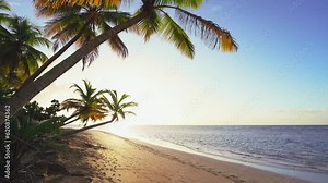 Beautiful tropical sunset on a paradise palm beach. Coast of the ocean in the rays of the evening sun. Palm trees and calm sea against the backdrop of dawn. Picturesque seascape. Twilight on the beach