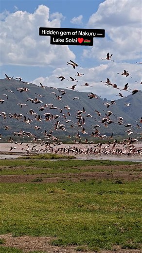 Discover the Hidden Gem of Lake Solai in Nakuru County