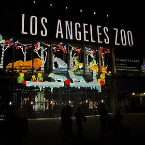 Enjoy 20% off LA Zoo Lights tickets when you purchase now through January 11. This is the last week to experience this can’t-miss LA tradition. Celebrate the season with dazzling animals and bright holiday fun at YOUR Los Angeles Zoo. Unforgettable memories await at YOUR Los Angeles Zoo. Purchase your discounted tickets at LAZooLights.org for any available date through January 11th. Use code LIGHTS20 to save 20%. | Los Angeles Zoo