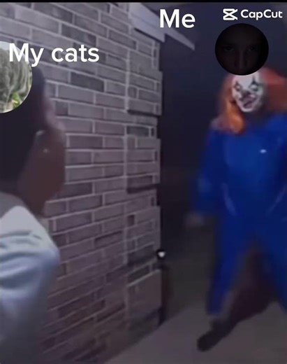 Why do cats slap harder than me