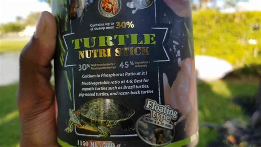 Turtle taste test showdown: Oreo or turtle sticks