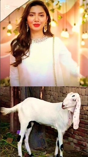 maira khan ny bohat hi sad story suna di darama actor maira khan amazing video eid special ❤️